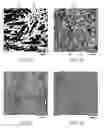 Fig. 02 - High temperature niobium alloy