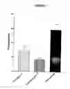 Fig. 02 - Medicament comprising a highly potent long-lasting beta2-agonist in combination with other active ingredients