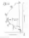 Fig. 04 - Potentiation of glucose elimination