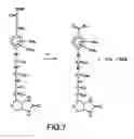 Fig. 08 - Photocleavable bioreactive agents