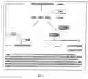 Fig. 02 - Methods and compositions for RNA interference