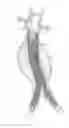 Fig. 06 - Catheter-based fastener implantation apparatus and methods