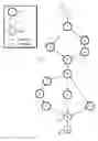 Fig. 01 - Discovering patterns of executions in business processes