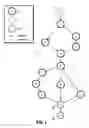 Fig. 02 - Discovering patterns of executions in business processes