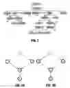 Fig. 03 - Discovering patterns of executions in business processes