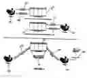 Fig. 07 - Electronic Check