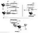 Fig. 08 - Electronic Check