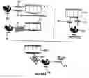Fig. 09 - Electronic Check