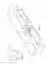 Fig. 08 - Cordless blind and operator device