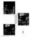 Fig. 09 - Method for estimating camera settings adaptively