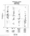 Fig. 07 - Adjuvant combination formulations