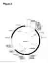 Fig. 07 - Substances causing differentiation