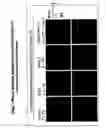 Fig. 02 - Oligodendrocyte determination genes and uses thereof