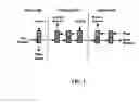 Fig. 02 - Process for the purification of coenzyme Q10