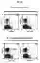 Fig. 10 - Vaccine composition comprising il-12 adjuvant encapsulated in controlled-release microsphere