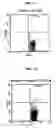 Fig. 13 - Vaccine composition comprising il-12 adjuvant encapsulated in controlled-release microsphere
