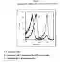 Fig. 02 - Method of treating cancer cells to create a modified cancer cell that provokes an immunogenic response