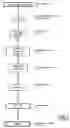 Fig. 02 - Dengue serotype 2 attenuated strain