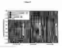 Fig. 03 - Functionalization of yarn and textile products