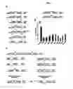 Fig. 07 - Method and systems for identifying micro-RNA targets and synthesizing novel micro-RNAs and uses of the same