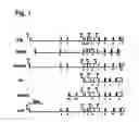 Fig. 02 - Production characteristics of cattle