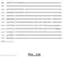 Fig. 09 - Compositions and methods of mutant Nogo-66 domain proteins