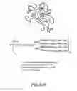 Fig. 167 - Glycopegylation methods and proteins/peptides produced by the methods