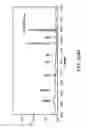 Fig. 367 - Glycopegylation methods and proteins/peptides produced by the methods