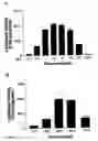 Fig. 05 - Coumermycin/novobiocin-regulated gene expression system