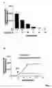 Fig. 06 - Coumermycin/novobiocin-regulated gene expression system