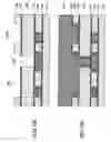Fig. 22 - Semiconductor device having a multilayer interconnection structure and fabrication process thereof