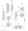 Fig. 07 - Resource handling for taking permissions