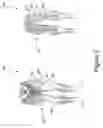 Fig. 03 - Apertured clothing