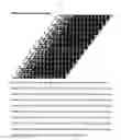 Fig. 02 - Photonic sequence paradigm