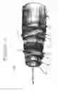 Fig. 02 - Hose construction