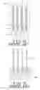 Fig. 12 - Heat sink