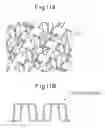 Fig. 09 - Production method of offset-shaped fins, fins, and method and apparatus for changing pitch of fins