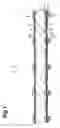 Fig. 02 - Photodiode array and production method thereof, and radiation detector