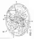 Fig. 07 - Electric motor and brush retaining assembly