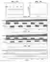 Fig. 12 - Method, computer program, and system for intrinsic timescale decomposition, filtering, and automated analysis of signals of arbitrary origin or timescale