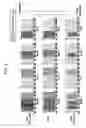 Fig. 09 - Liquid crystal display