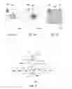 Fig. 04 - Method and system for reducing artifacts in image detection