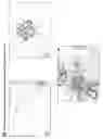 Fig. 02 - Regeneration of pancreatic islets by amniotic fluid stem cell therapy