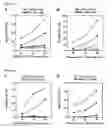 Fig. 12 - Tumor antigen