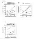 Fig. 13 - Tumor antigen