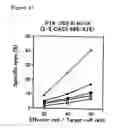Fig. 14 - Tumor antigen