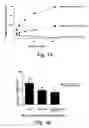 Fig. 02 - Method and compositions for boosting immune response
