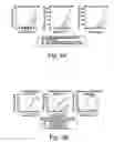 Fig. 05 - Method and compositions for boosting immune response