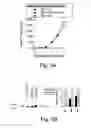 Fig. 06 - Method and compositions for boosting immune response