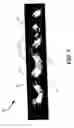 Fig. 02 - Architectural fabric